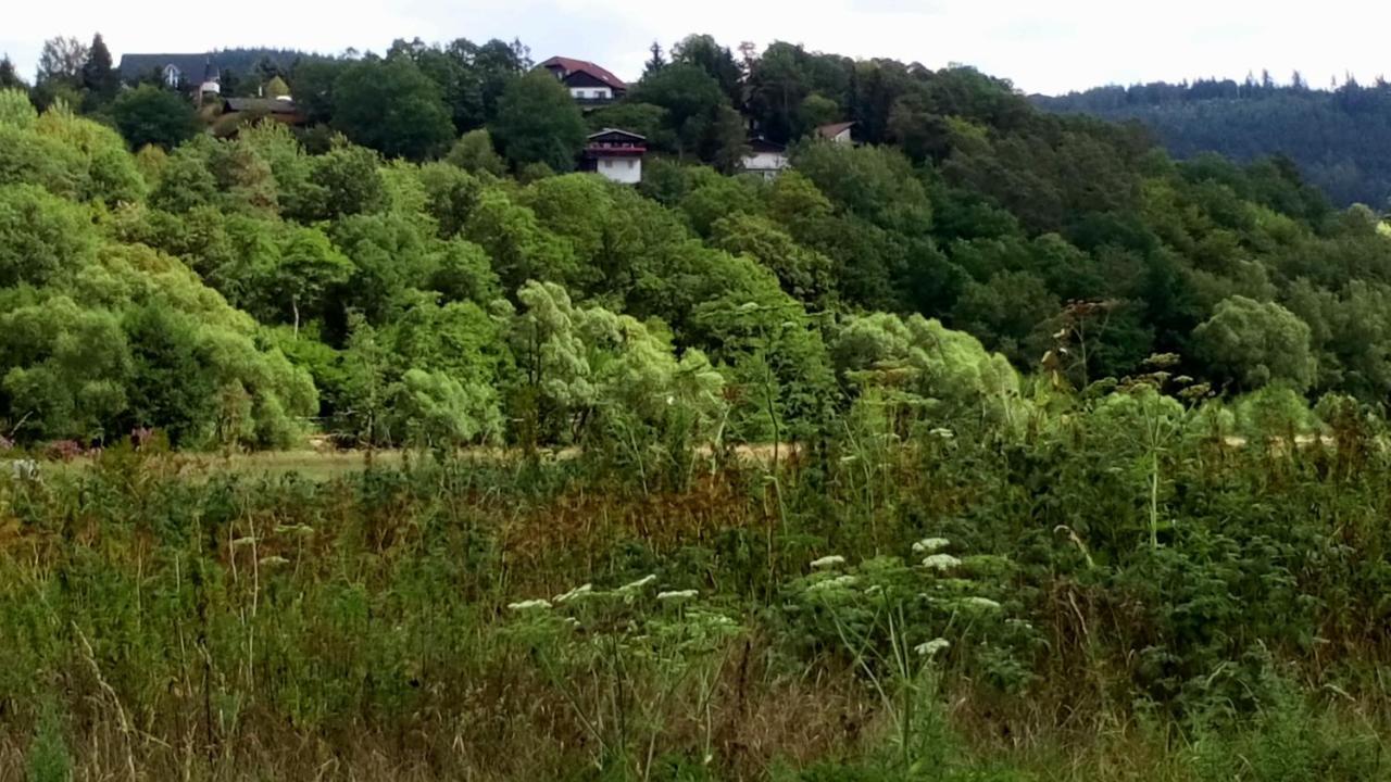 Ferienhaus Im Ederbergland Hatzfeld Exterior foto